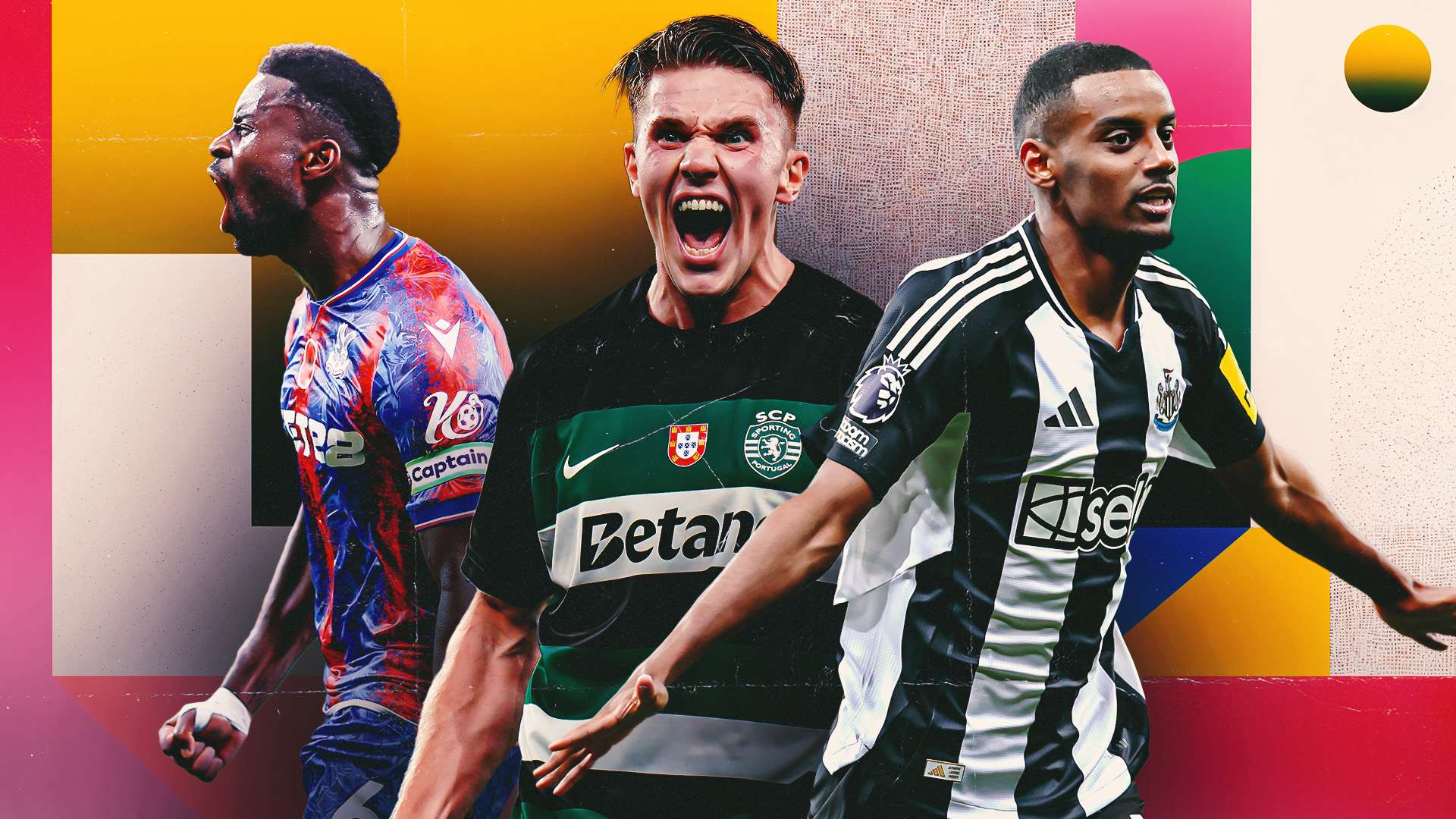 教练组需要 教练组需要