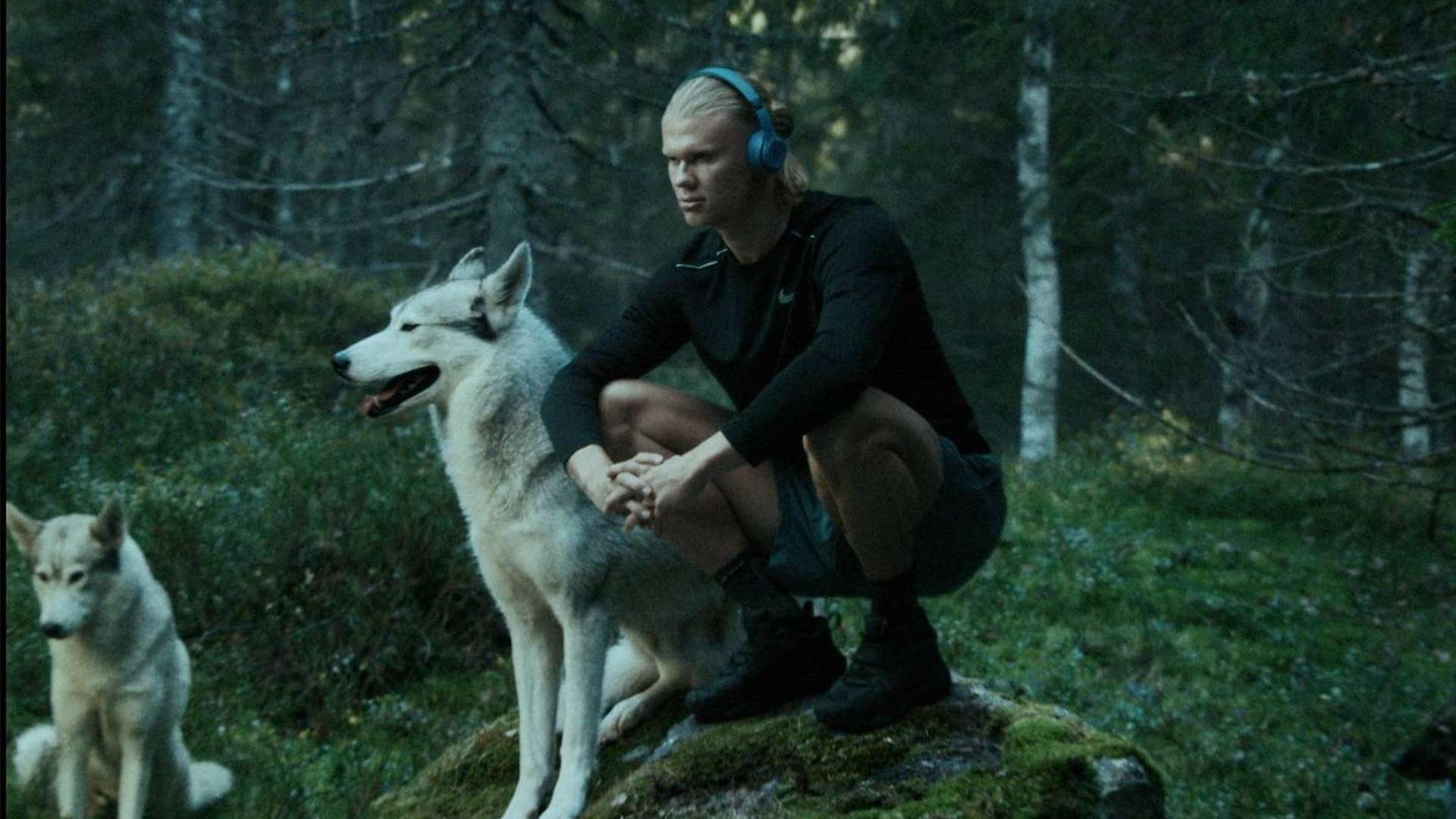 队韧性和团 队韧性和团